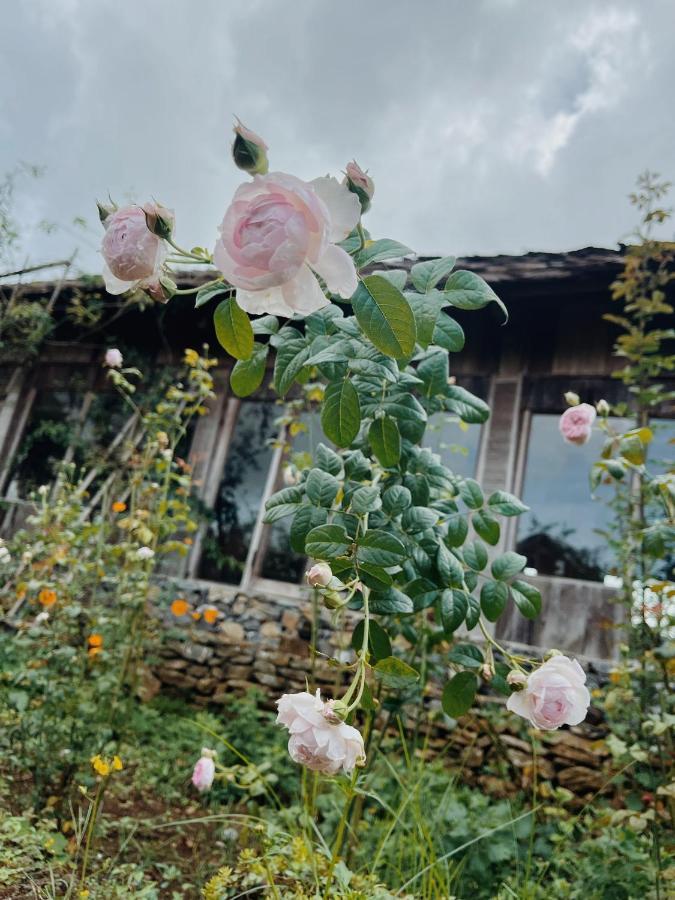 Tiem Ca Phe Mer Homestay & Coffee Moc Chau Buitenkant foto